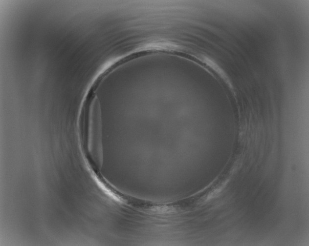 X0000056001037200508221317