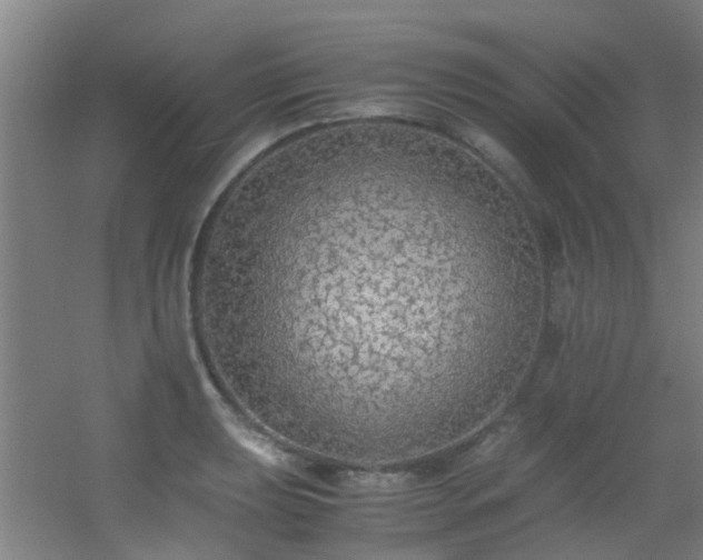 X0000056001039200508221317