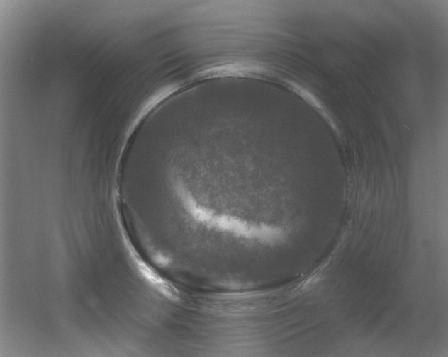 X0000056001042200508221317