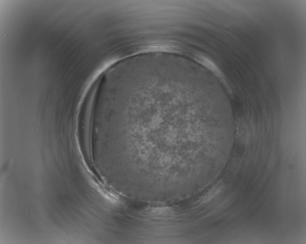 X0000056001043200508221317