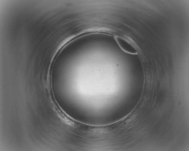 X0000056001044200508221317