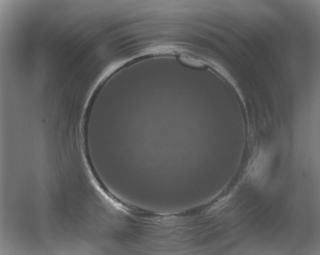 X0000056001045200508221318