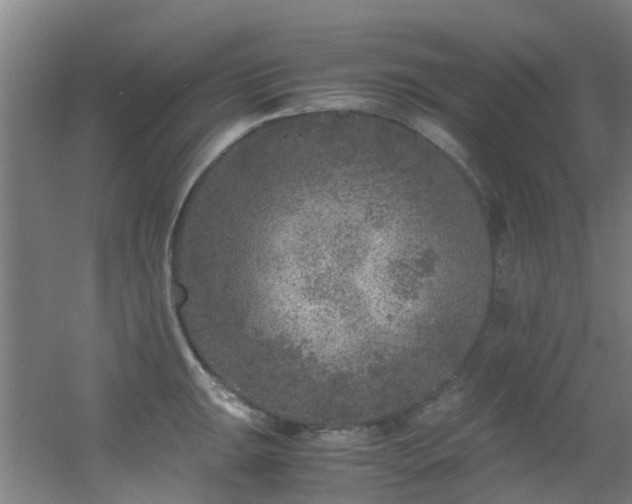 X0000056001047200508221318