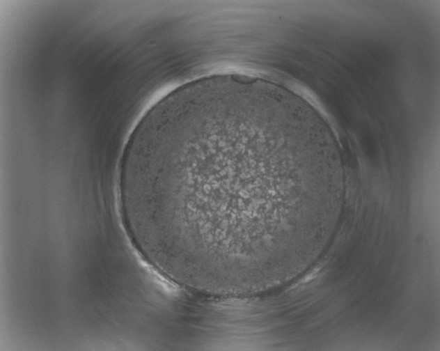 X0000056001048200508221318