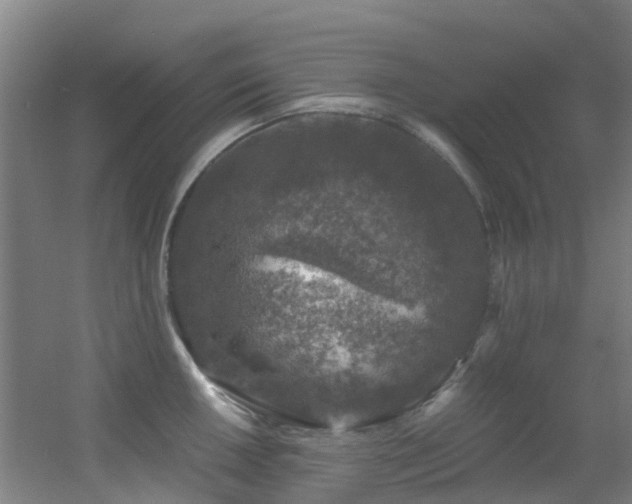 X0000056001050200508221318