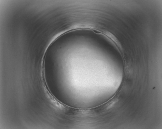 X0000056001052200508221318