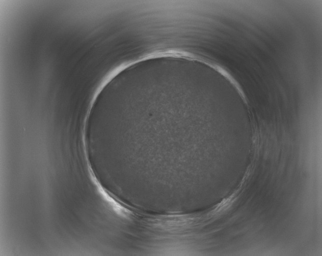 X0000056001054200508221318