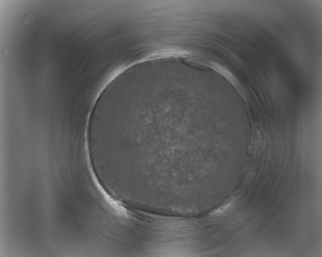 X0000056001055200508221318