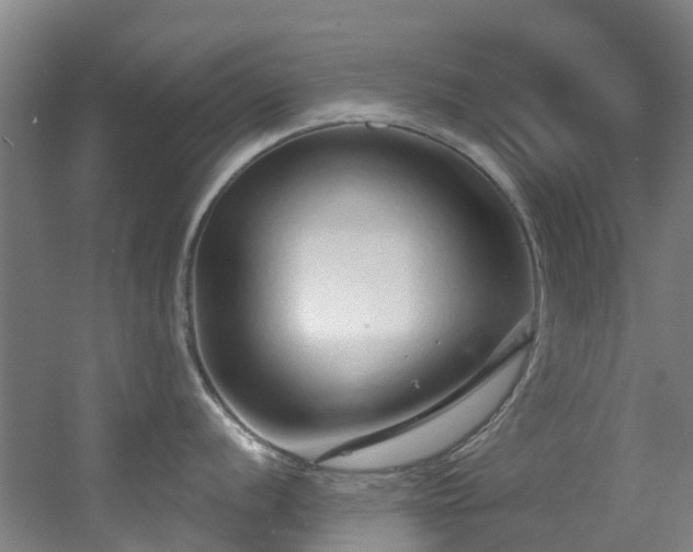 X0000056001056200508221318