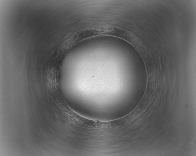 X0000056001058200508221317