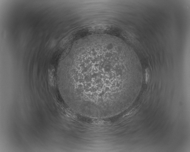 X0000056001059200508221317