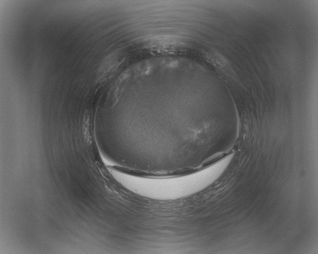 X0000056001060200508221317