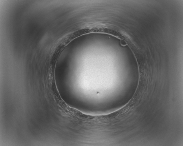 X0000056001063200508221317