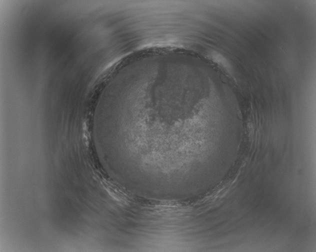 X0000056001064200508221317