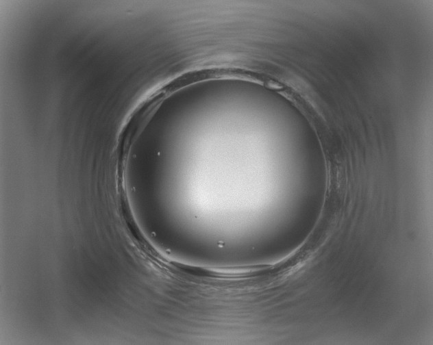 X0000056001069200508221317