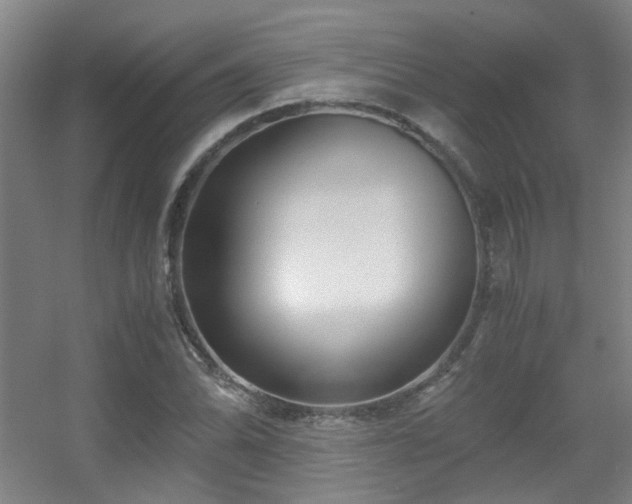 X0000056001070200508221317