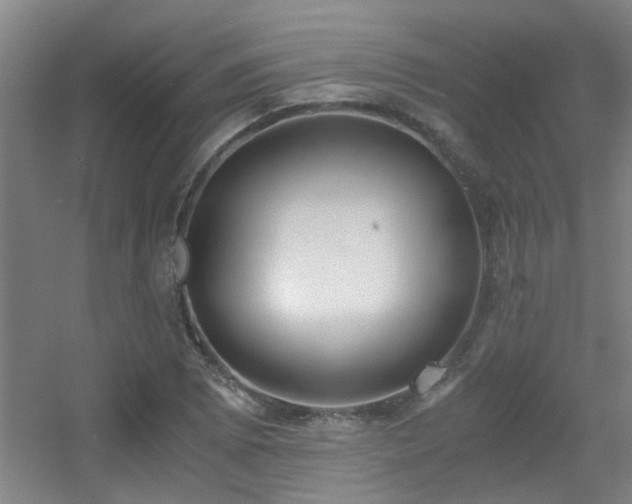 X0000056001073200508221317