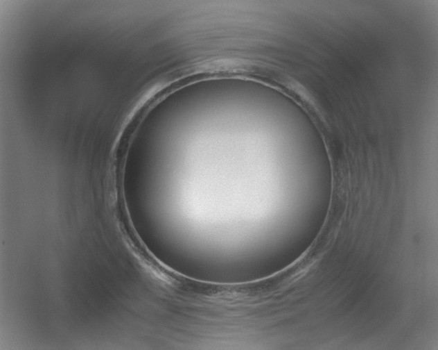 X0000056001075200508221317