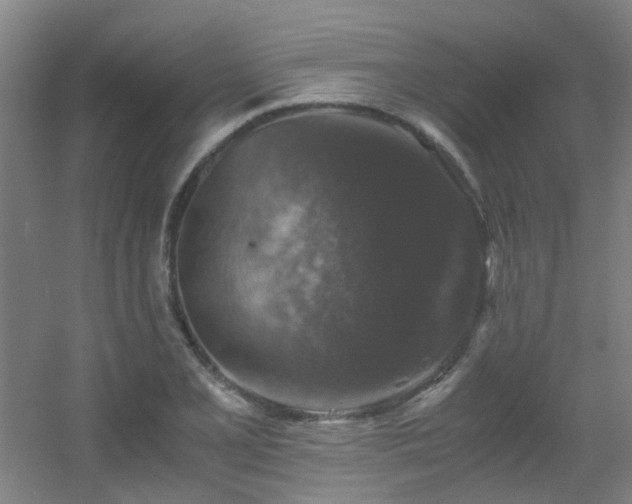 X0000056001077200508221317