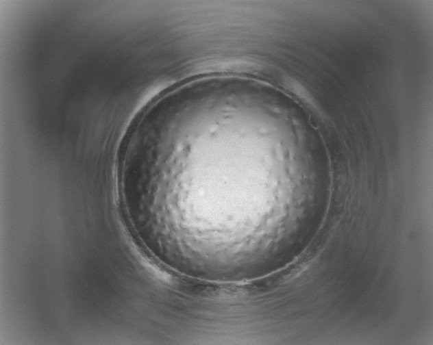 X0000056001079200508221317