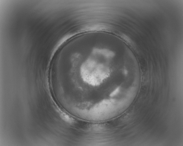 X0000056001086200508221316