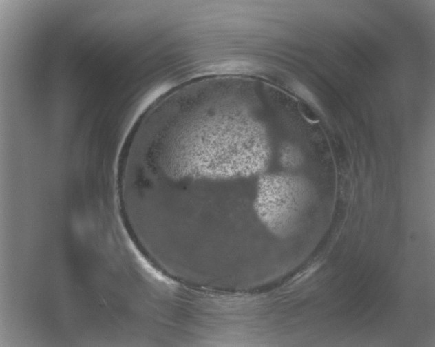 X0000056001087200508221316