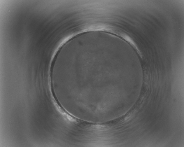 X0000056001088200508221316