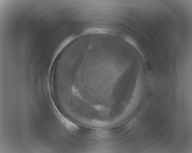 X0000056001090200508221316