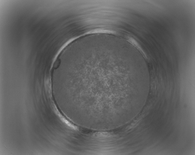 X0000056001092200508221316