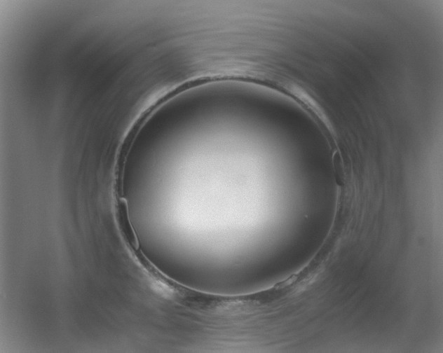 X0000056001093200508221316