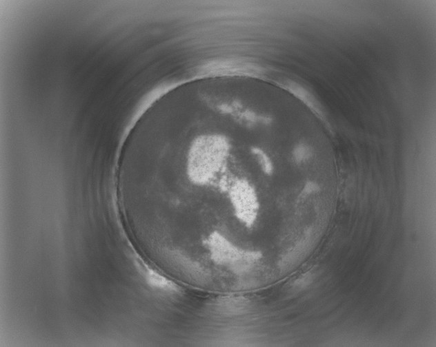 X0000056001094200508221316