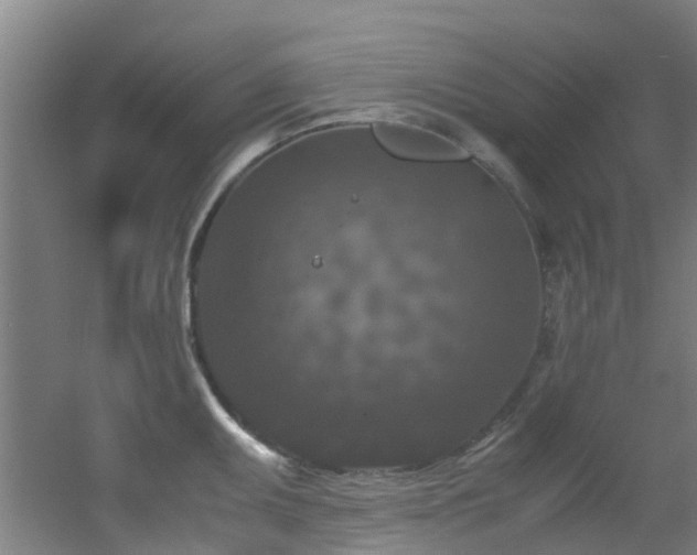 X0000056001095200508221316