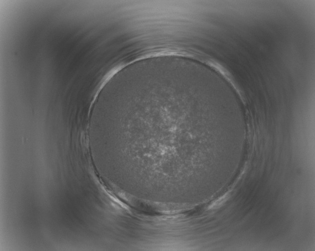 X0000056001097200508221316