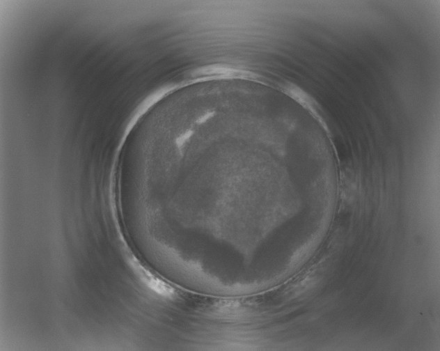 X0000056001098200508221316