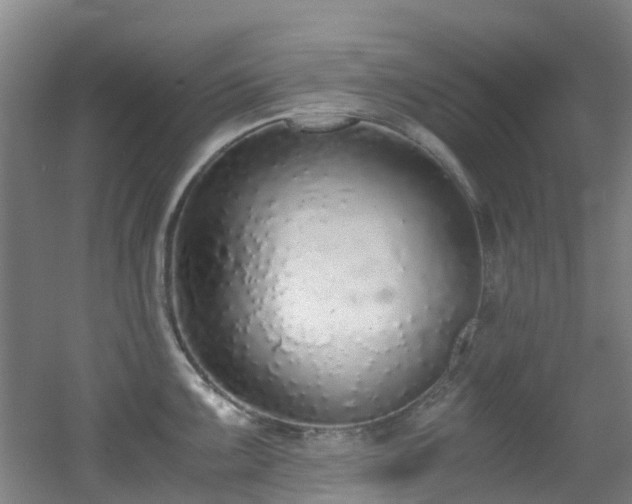 X0000056001099200508221316