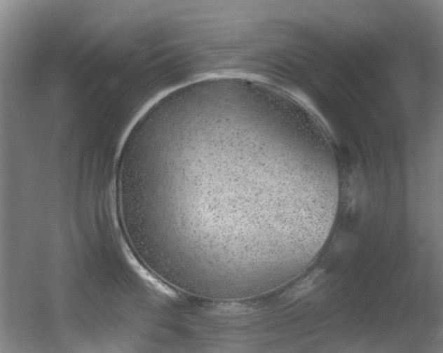 X0000056001100200508221316