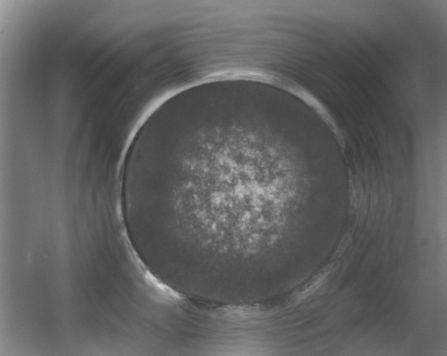 X0000056001102200508221316