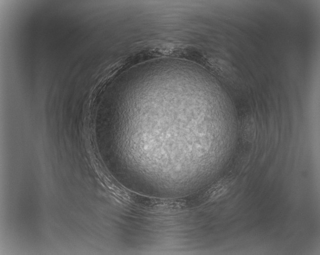 X0000056001105200508221315