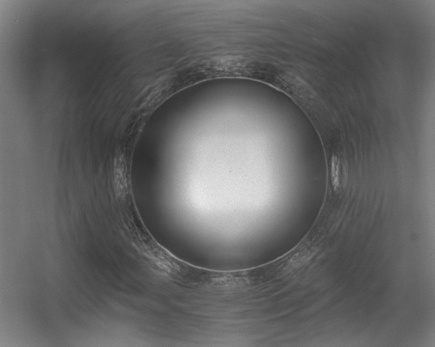 X0000056001107200508221315