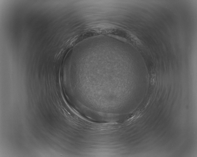 X0000056001108200508221315