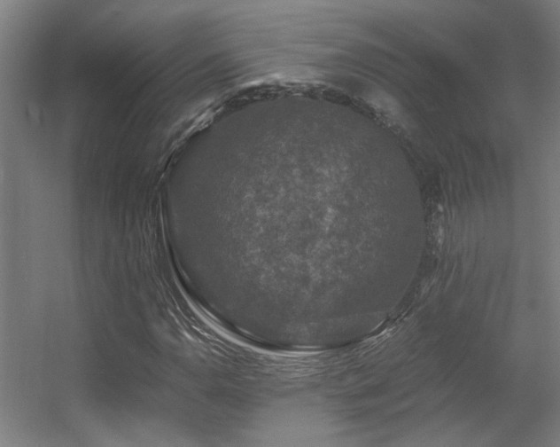 X0000056001110200508221315