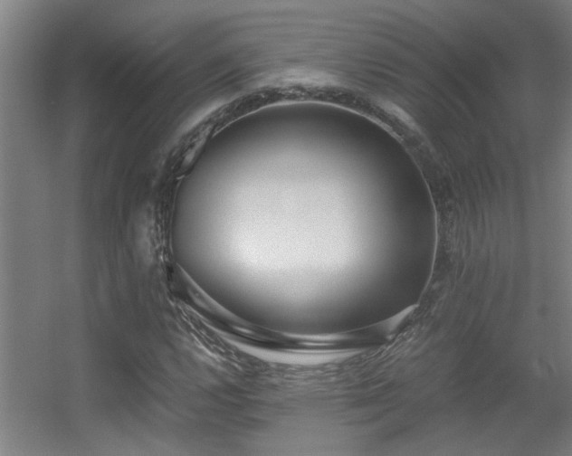 X0000056001112200508221315