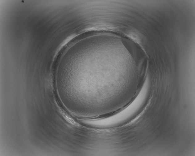 X0000056001114200508221315