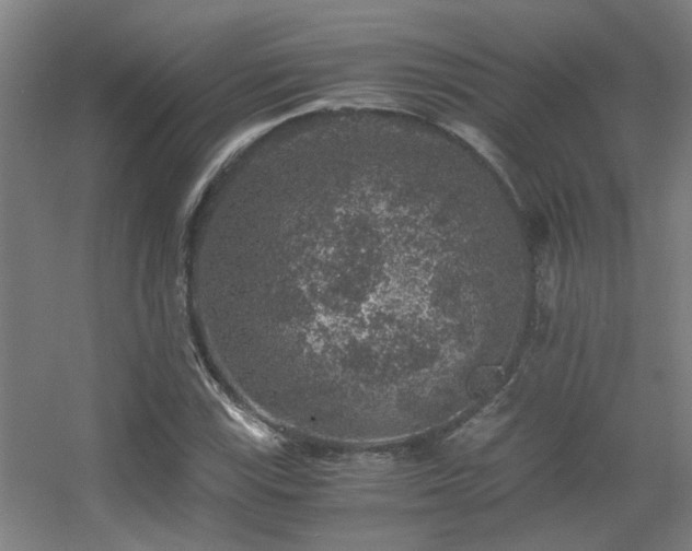 X0000056001115200508221315