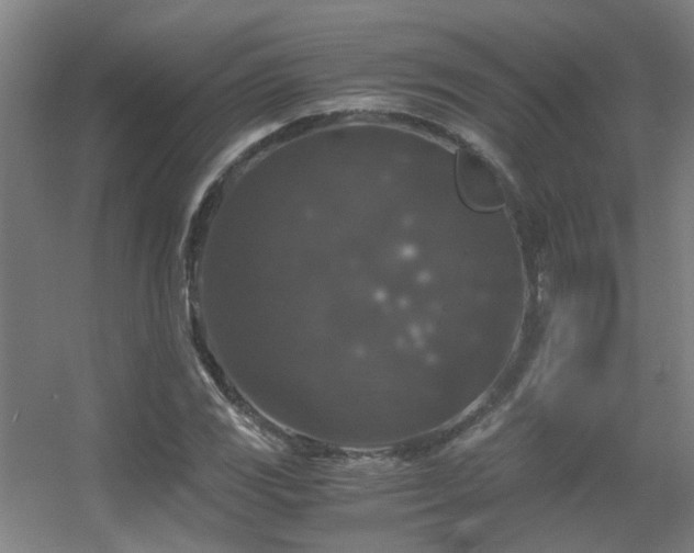 X0000056001117200508221315