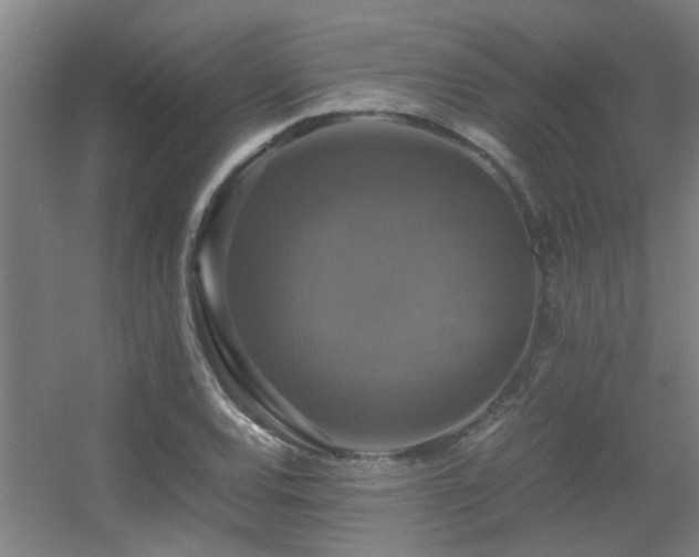 X0000056001120200508221316