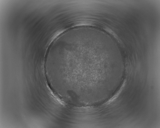 X0000056001121200508221316