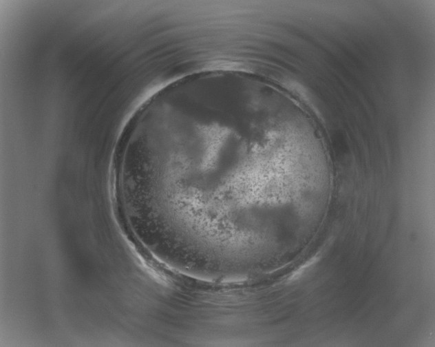 X0000056001125200508221316