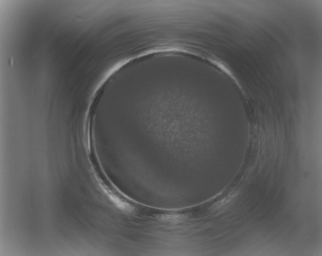 X0000056001127200508221316