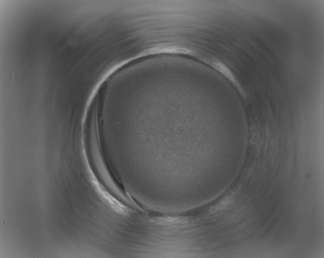 X0000056001132200508221316